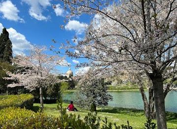 vatican-city/gregorian-etruscan-museum/attraction/passeggiata-del-giappone-dell-eur