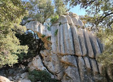 spain/mallorca/attraction/es-camell