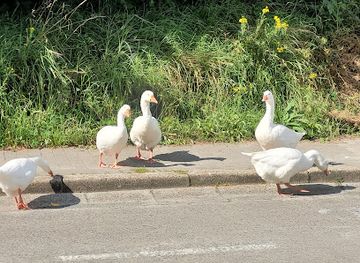 belgium/flemish-brabant/attraction/zoet-water-park-atrium
