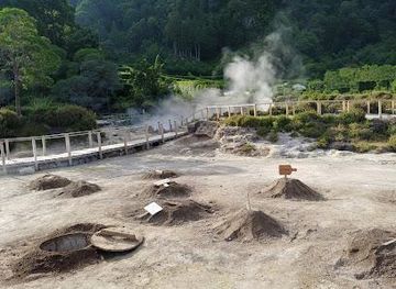 portugal/azores/attraction/fumarolas-furnas-lagoon