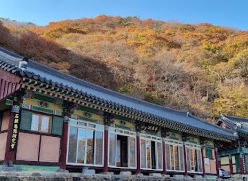 south-korea/naejangsan-national-park/attraction/sunchang-guamsa-eunhaengnamu