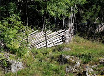 finland/koli-national-park/attraction/kasken-kierros-circle-trail