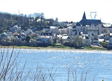 france/pays-de-la-loire/attraction/confluence-de-la-loire-et-de-la-vienne