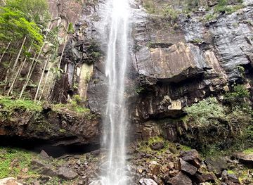 australia/northern-rivers/attraction/protesters-falls-walking-track