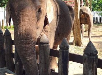 laos/luang-prabang/attraction/green-jungle-park