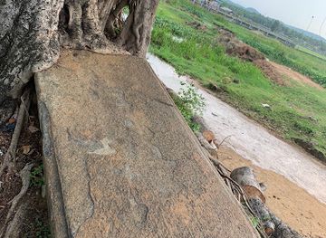 sri-lanka/trincomalee-district/attraction/children-s-park