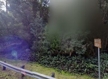 australia/tasmania/attraction/taffy-s-creek