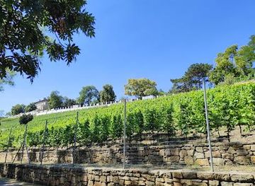 czechia/prague/attraction/grebovka-wine-cellar