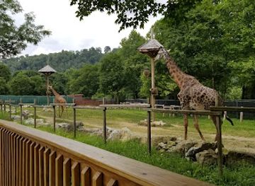 pennsylvania/lehigh-valley/attraction/lehigh-valley-zoo