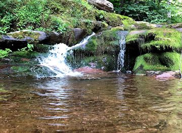 new-york/catskill-mountains/attraction/fawn-s-leap
