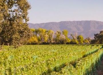 california/santa-barbara/attraction/roblar-winery-and-vineyards-santa-ynez-estate-tasting-room