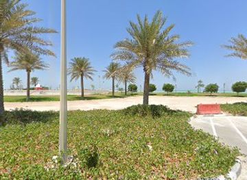 qatar/fuwairit-beach/attraction/family-of-sea-cows