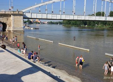 hungary/szeged/attraction/tiszavirag-emlekmu-tiszaviragzas