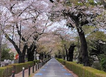 japan/tokyo/attraction/aoyama-cemetery