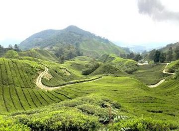 malaysia/cameron-highlands/attraction/mount-batu-brinchang