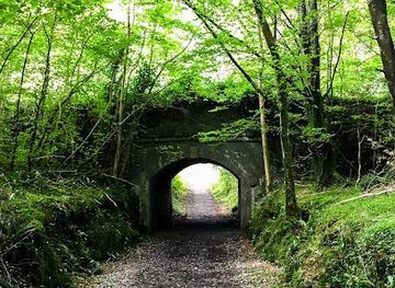 ireland/westport/attraction/clonbur-wood-car-park