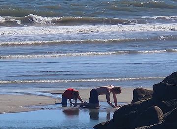 south-carolina/folly-beach/attraction/public-beach-access-10th-st-e