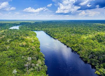 colombia/amazon/attraction/amazon-rainforest