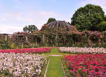 germany/hesse/attraction/rosenhohe