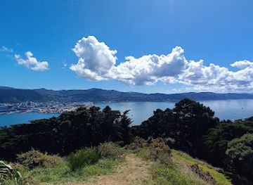 new-zealand/wellington/attraction/the-way-of-nazgul