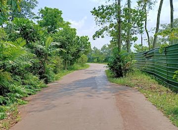 singapore/sungei-buloh-wetland-reserve/attraction/mid-canopy-walk