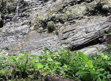 trinidad-and-tobago/penal-debe/attraction/habio-falls