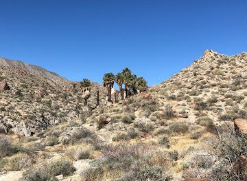 california/palm-desert/attraction/art-smith-trailhead