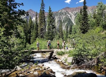 utah/snowbird-ski-resort/attraction/white-pine-trailhead