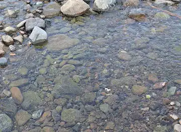 Wadi HUM DAM FUJAIRAH UAE
