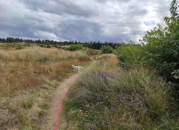 germany/north-frisia/attraction/suderlugumer-binnendunen