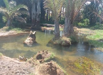 zambia/kalambo-falls/attraction/mbala-water-pool