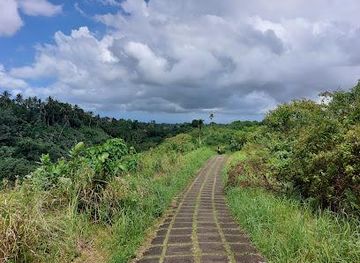 indonesia/bali/attraction/campuhan-ridge-walk