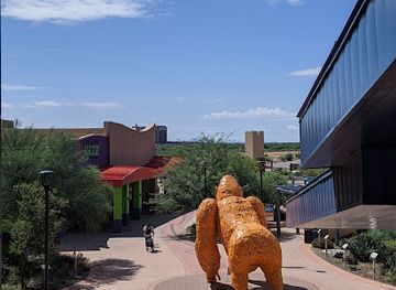 arizona/scottsdale/attraction/ripley-s-believe-it-or-not