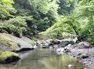 japan/yufuin/attraction/yufugawa-canyon