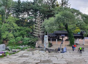 south-korea/chuncheon/attraction/ginkgo-tree-lane-nami-island