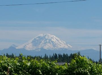 washington/mount-rainier-area/attraction/flaming-geyser-state-park