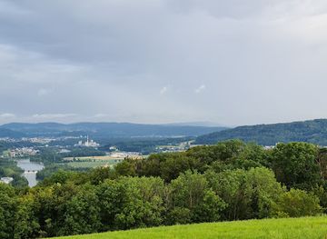 switzerland/aargau/attraction/linner-linde