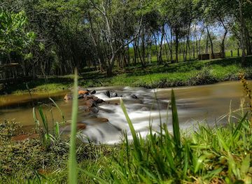 paraguay/parana-river-basin/attraction/piro-y-eco-turismo