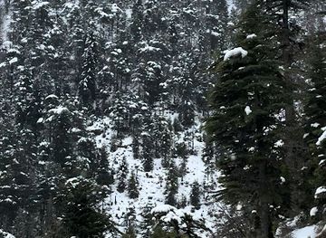 lebanon/horsh-ehden/attraction/ain-naasa