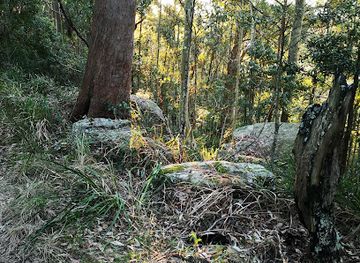 australia/central-coast/attraction/wambina-nature-reserve