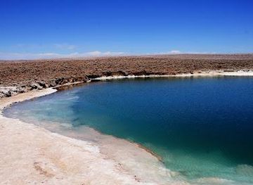 chile/san-pedro-de-atacama/attraction/lagunas-escondidas-de-baltinache