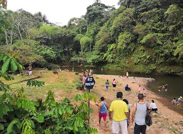 ecuador/morona-santiago-region/attraction/parque-etnobotanico-omaere