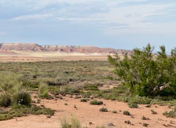 spain/aragon/attraction/reserva-ornitologica-de-el-planeron