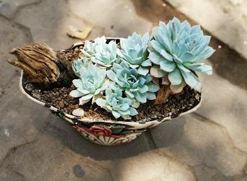 vietnam/da-nang/attraction/moc-garden