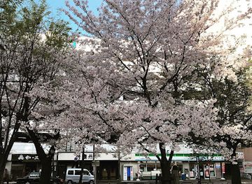 japan/fukuoka/attraction/ninjin-park