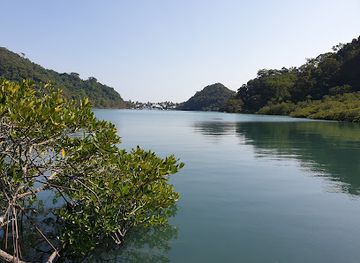thailand/trat/attraction/mangrove-walk