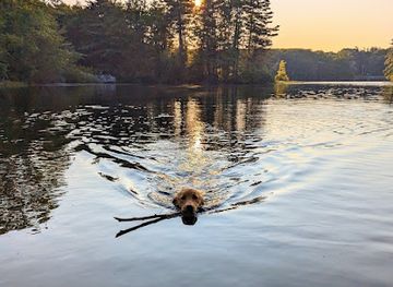 massachusetts/south-shore/attraction/dunn-state-park