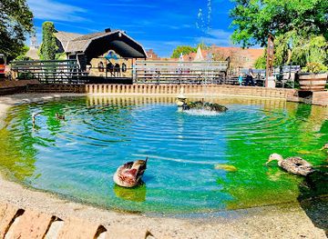 michigan/holland-state-park/attraction/nelis-dutch-village