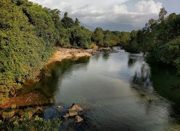 india/malabar-coast/attraction/nedumkayam-rain-forest