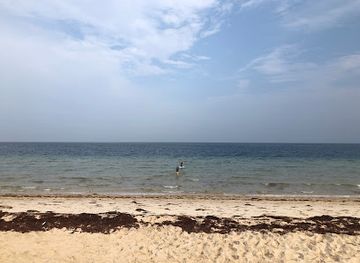 qatar/mesaieed/attraction/qatar-international-tours-camp